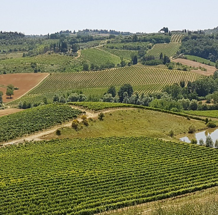 Chauffeur Service in Rome