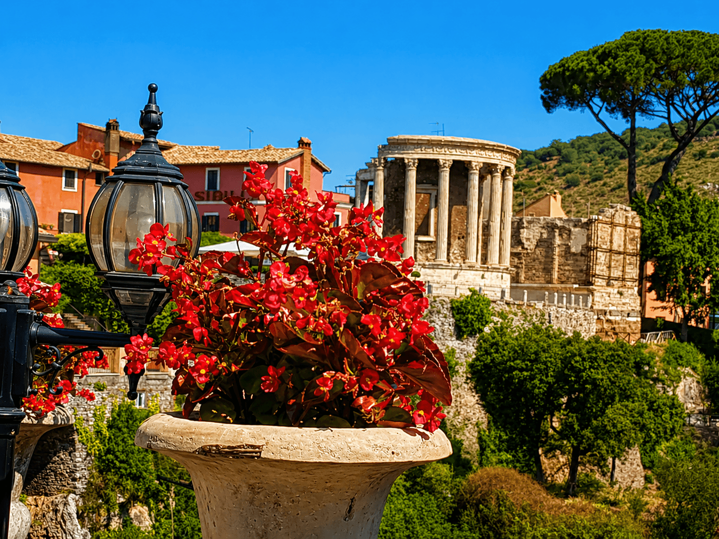 Rome Van Service Com