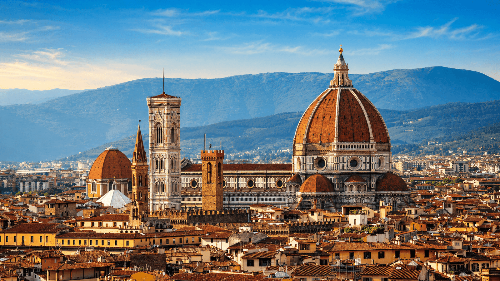 Rome Van Service Com