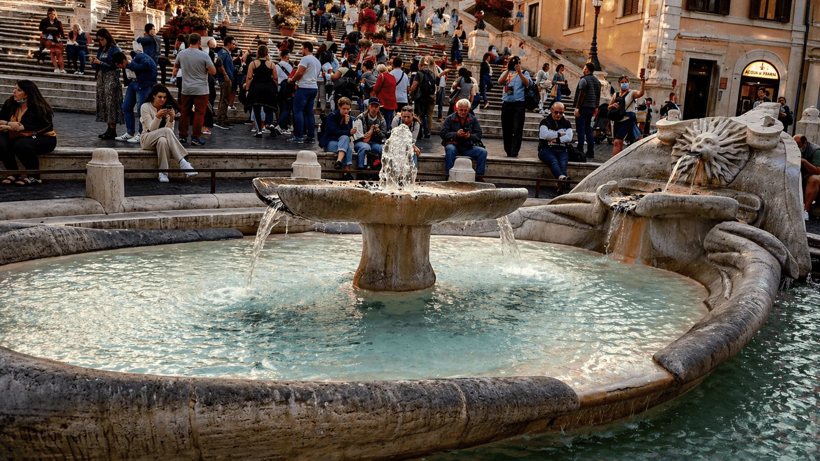 Rome Van Service Com